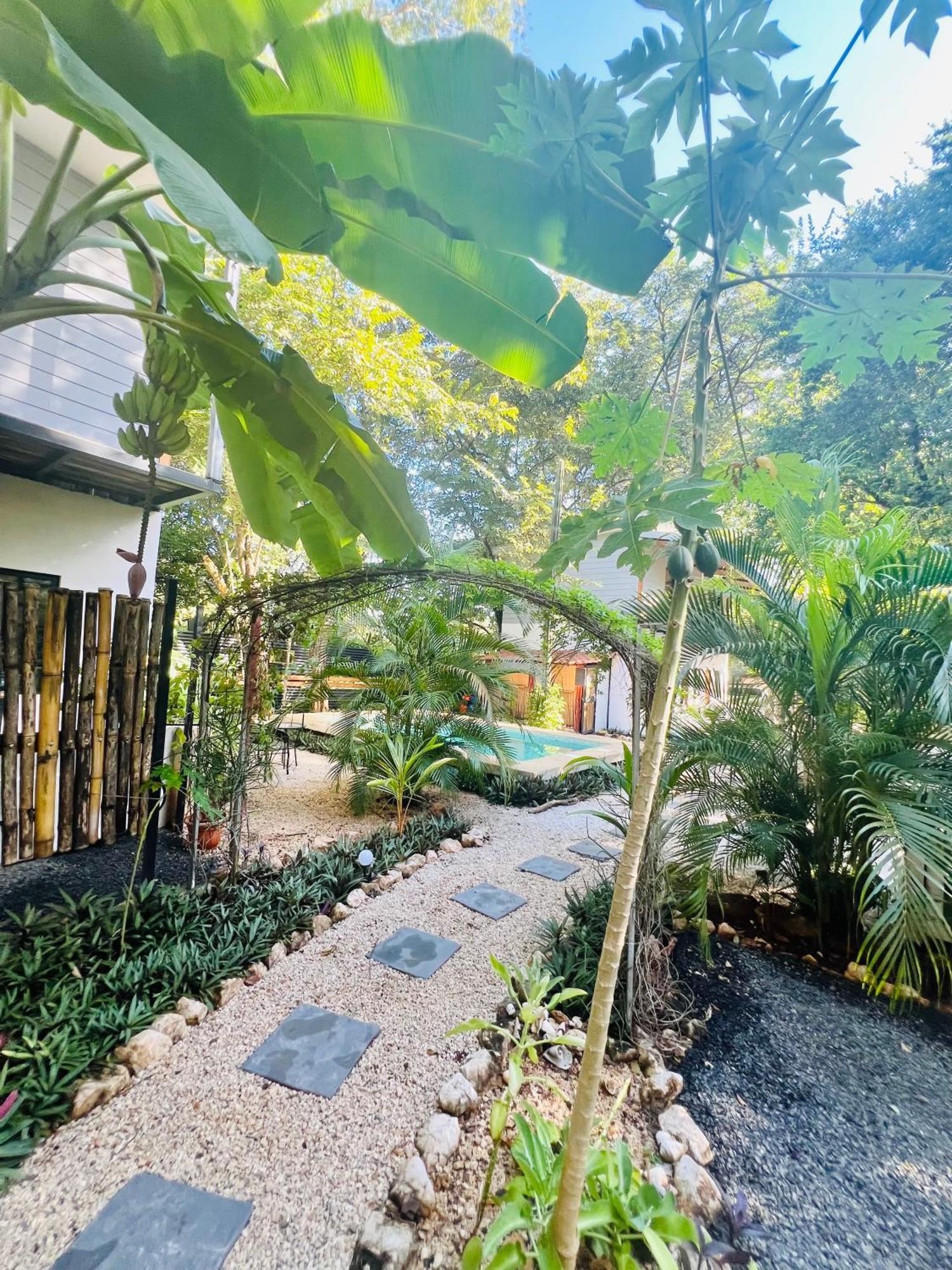 Calipso Ocean Lodge- Avellana Beach Hotel Playa Avellana Exterior photo