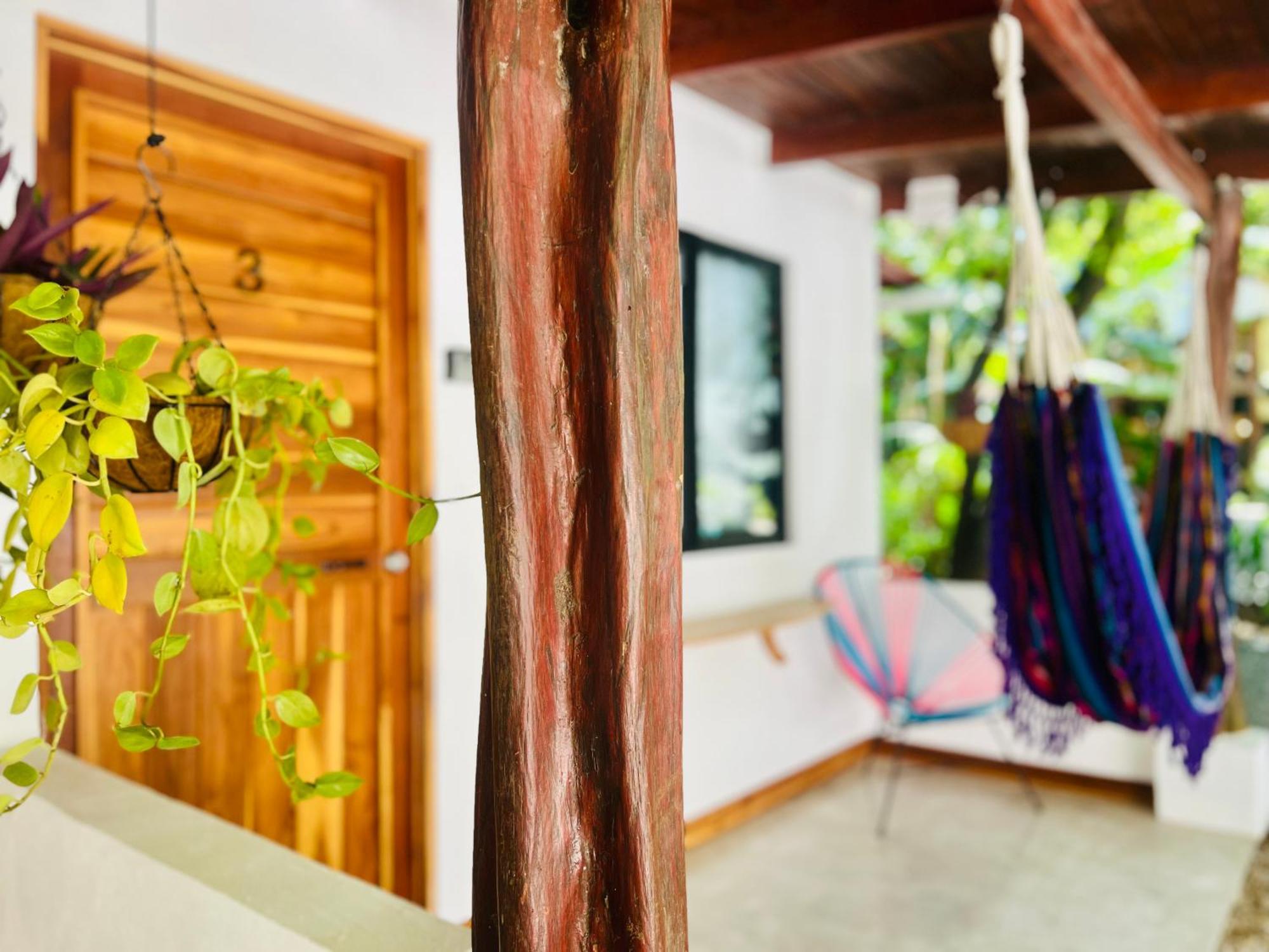Calipso Ocean Lodge- Avellana Beach Hotel Playa Avellana Exterior photo